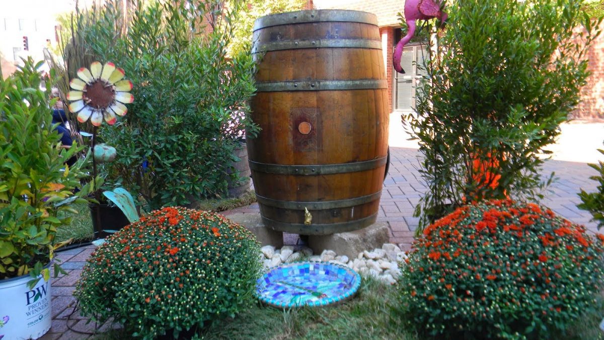 Rain Gardens