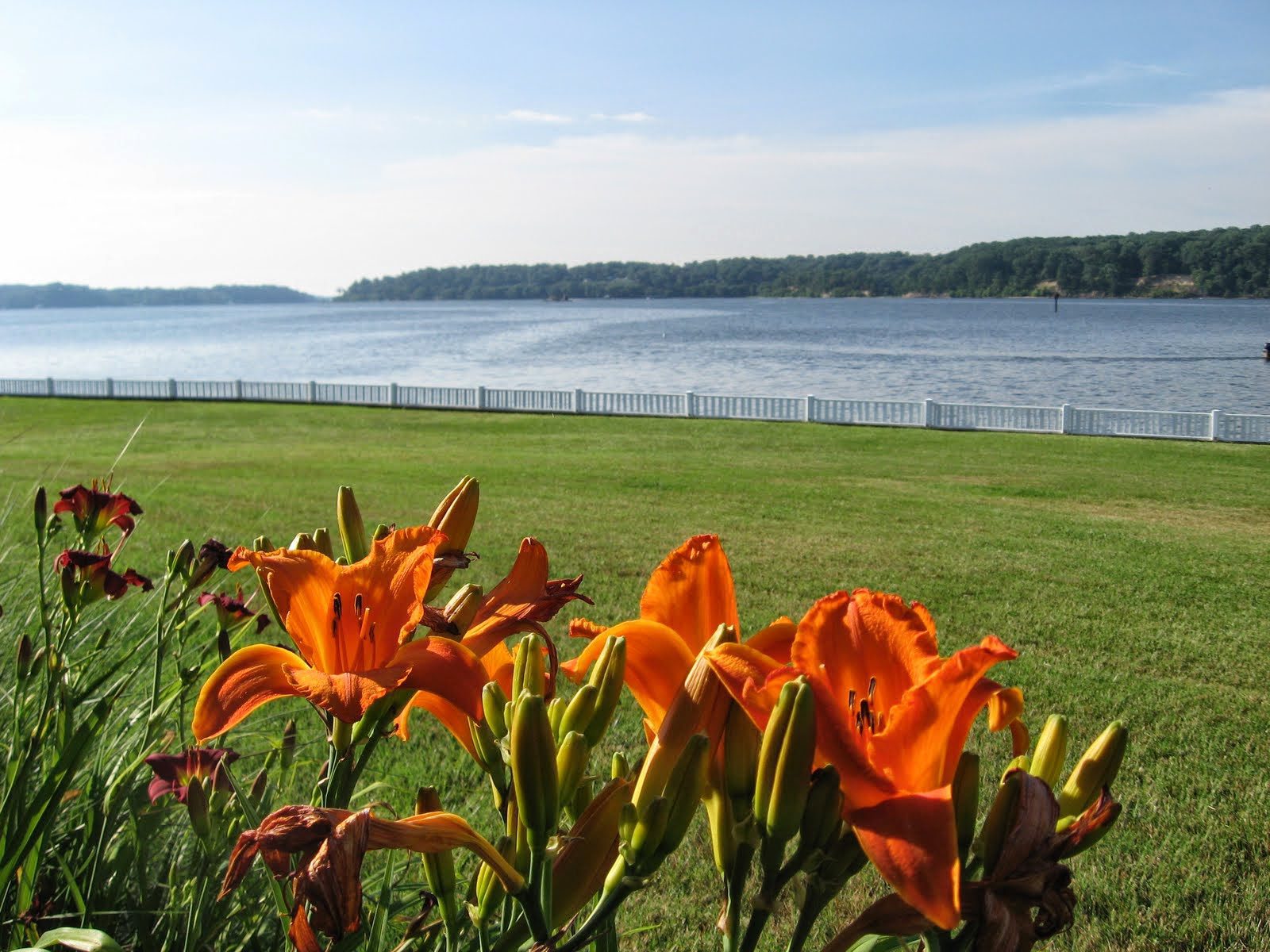 Long Point