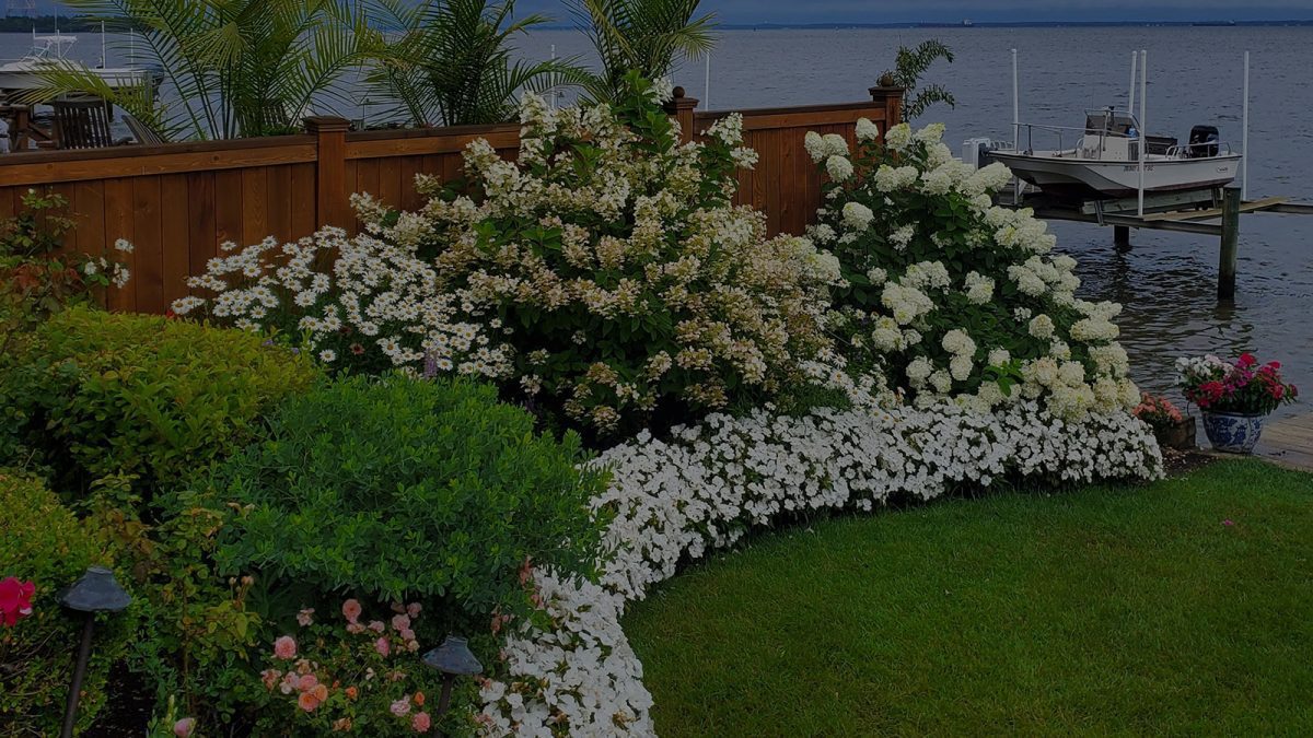 Annapolis, Garden Girls Landscaping